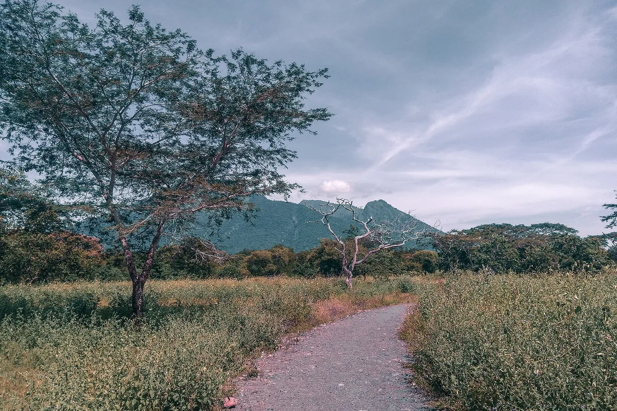 Pemandangan Taman Nasional Baluran
