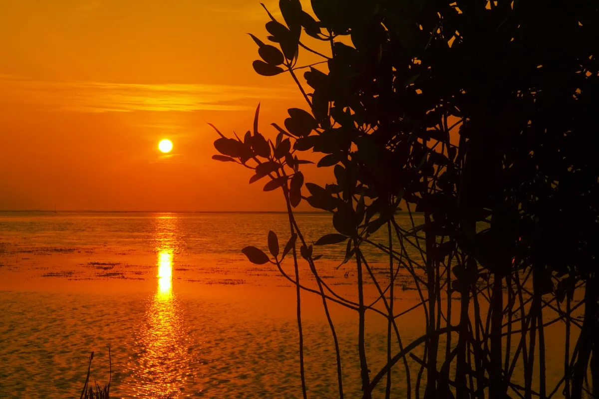 Pemandangan Pulau Pramuka