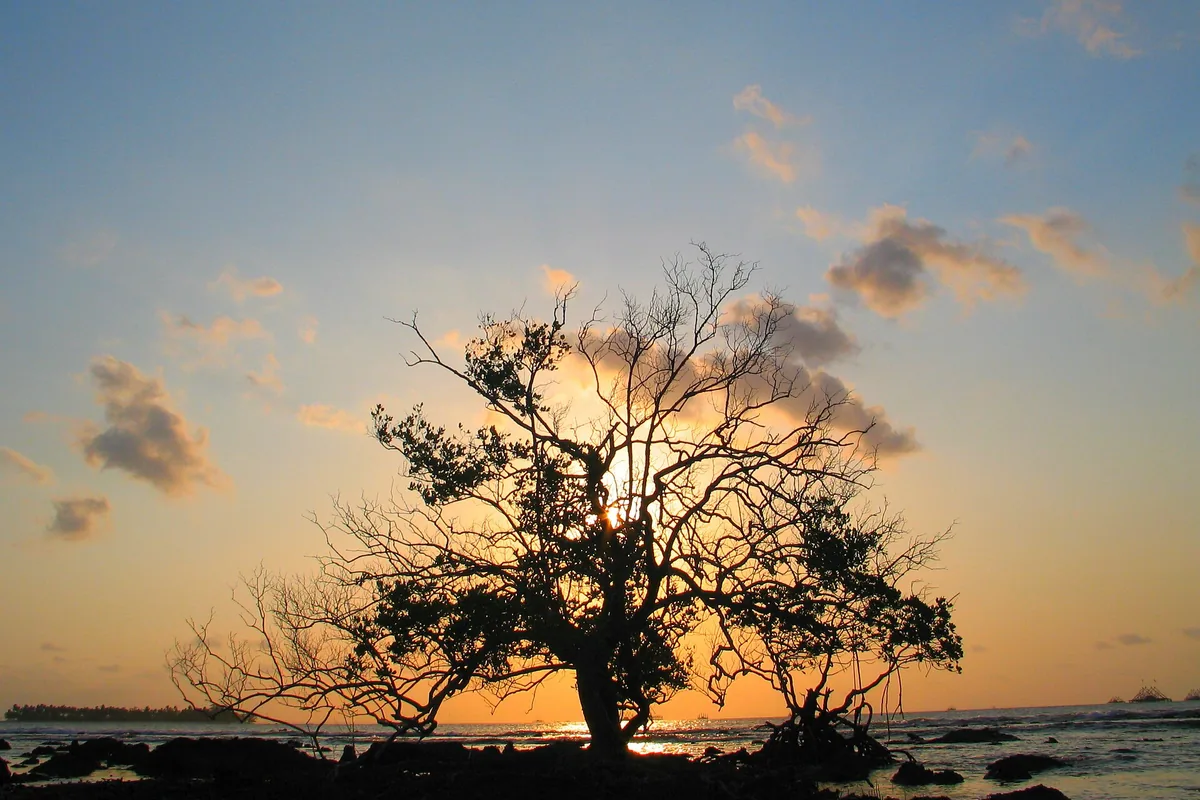 Pemandangan Pulau Umang
