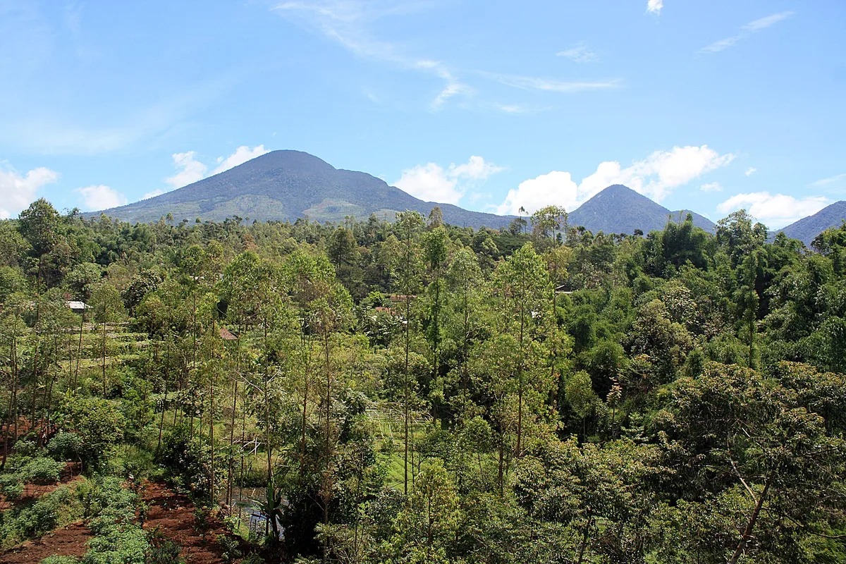 Pemandangan Gunung Papandayan