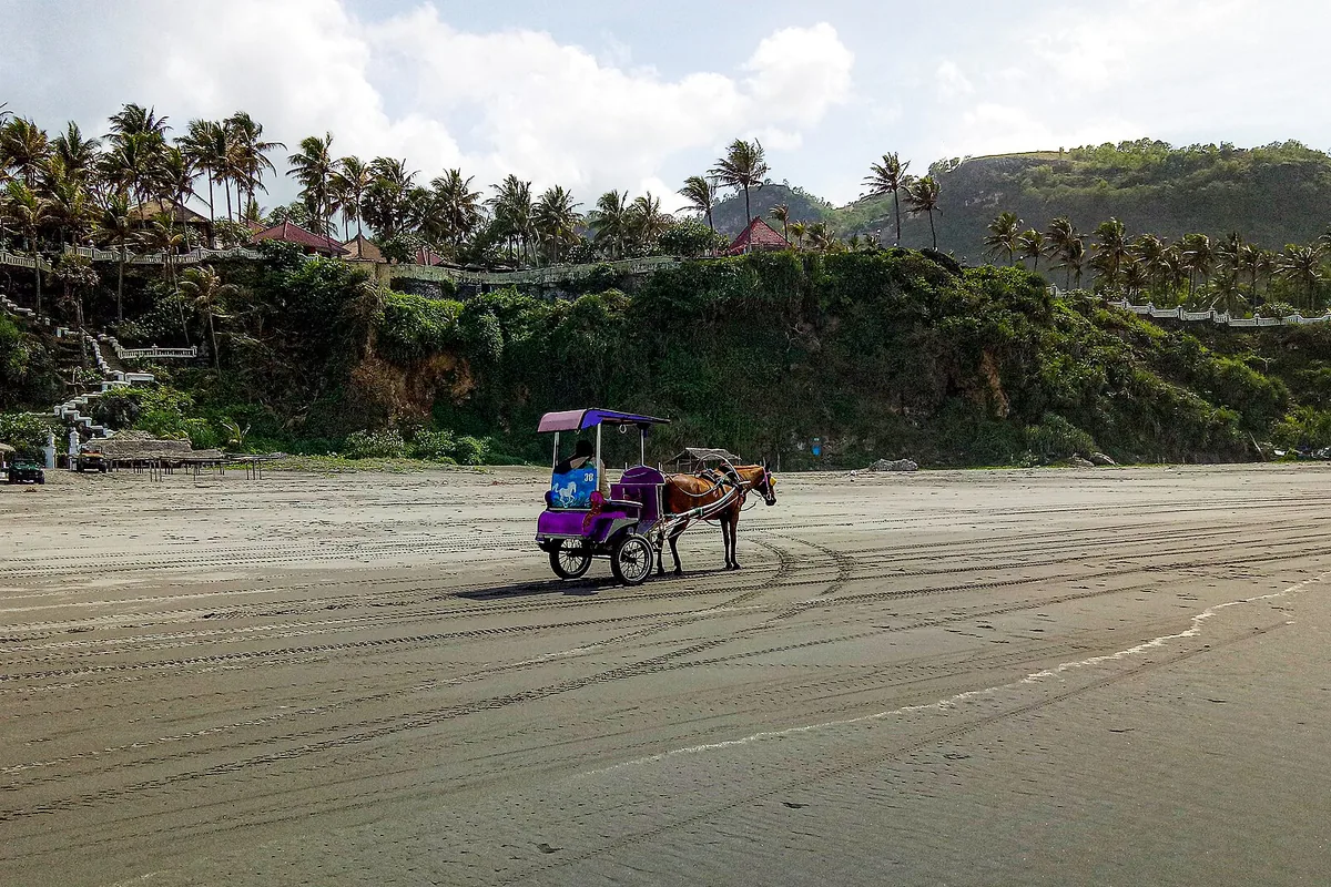 Pemandangan Pantai Parangtritis