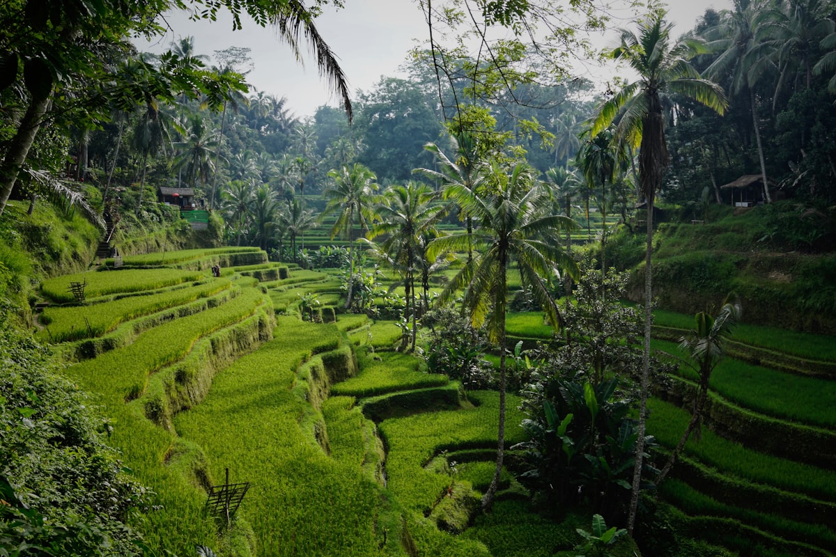 Pemandangan Pura Silayukti